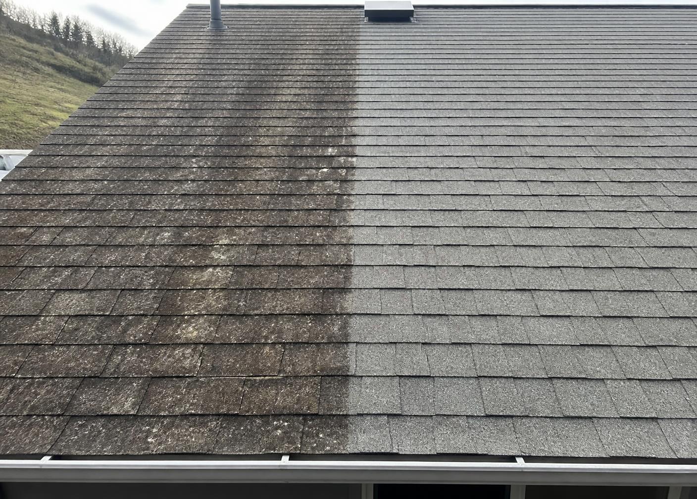 Asphalt shingle roof before and after moss and algae cleaning